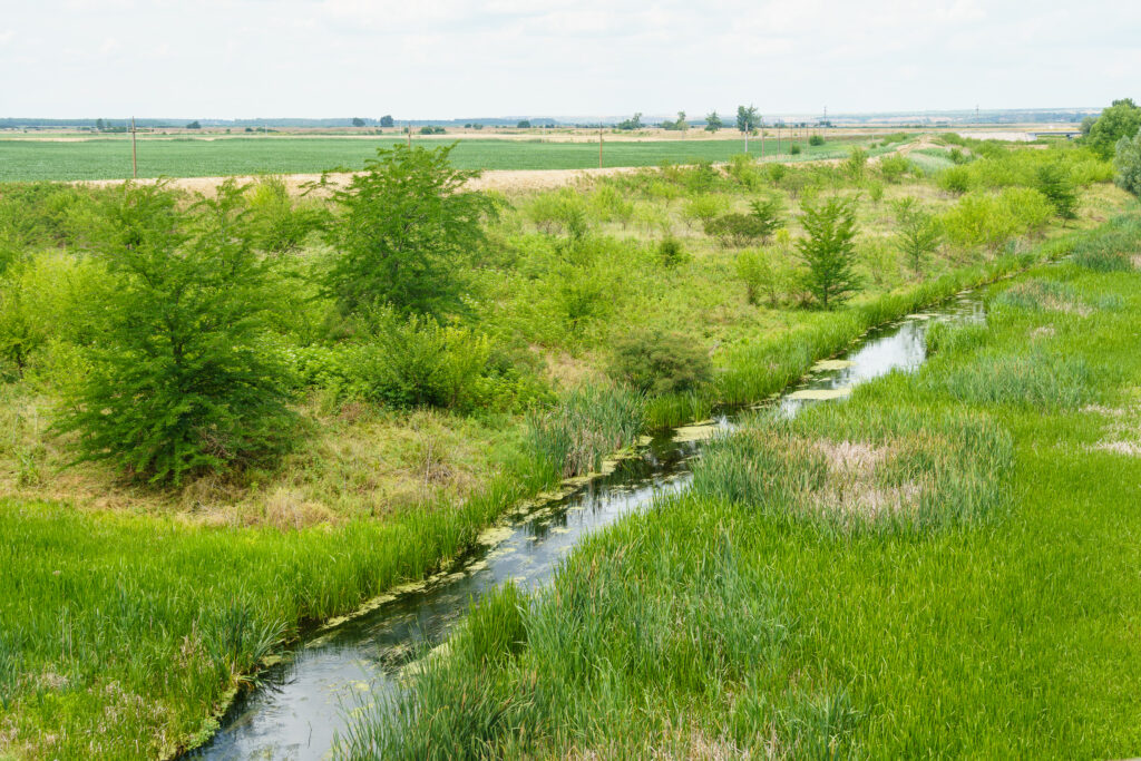 Auch die kleinen Nebenflüsse bieten viel Grün in Mitten der Felder