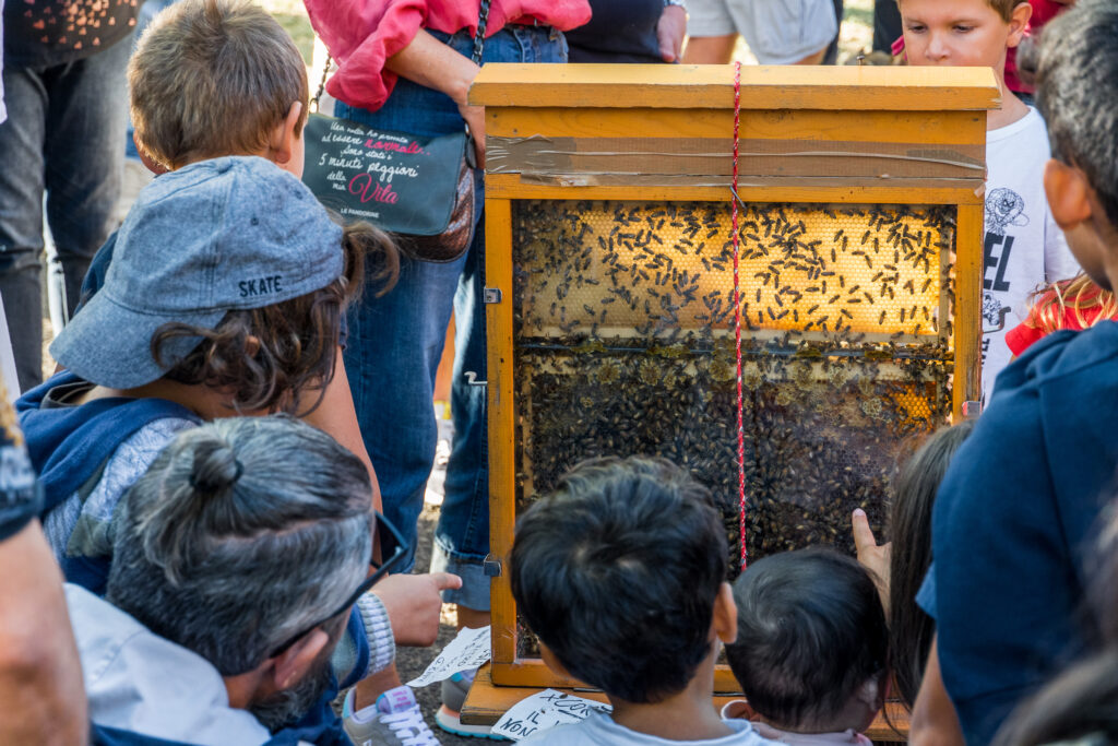 Hit bei den Kids: Bienenvolk