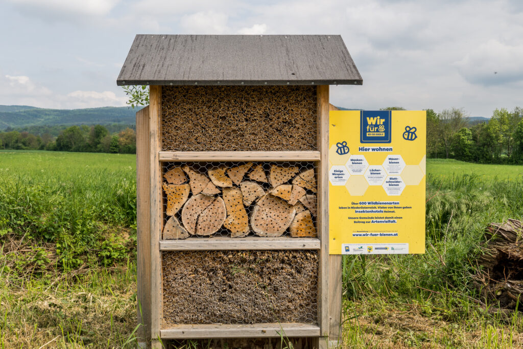 Niederösterreichisches Landes-Insekten-Hohel