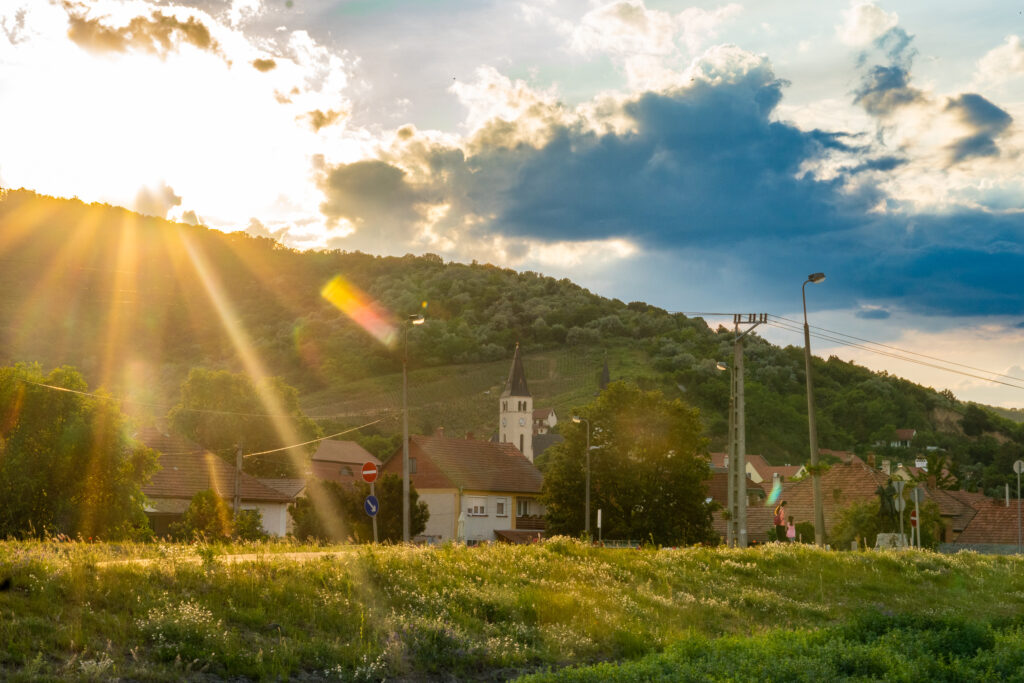 Sonnenuntergang über dem Weinberg von Tokaj