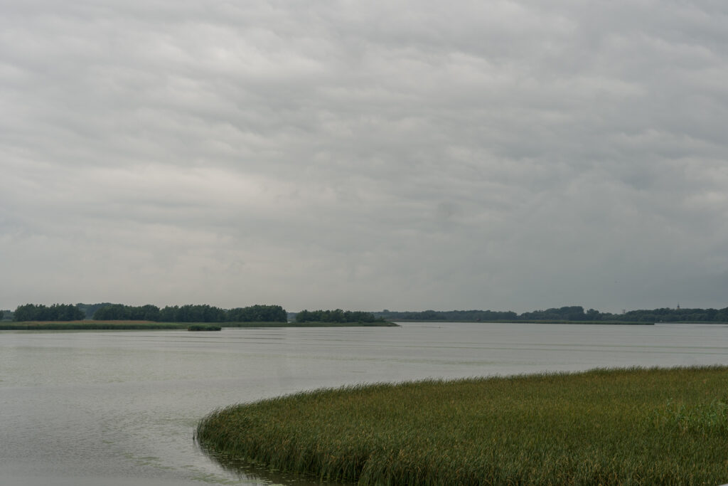 Theiß-See heute in Regen-Grau
