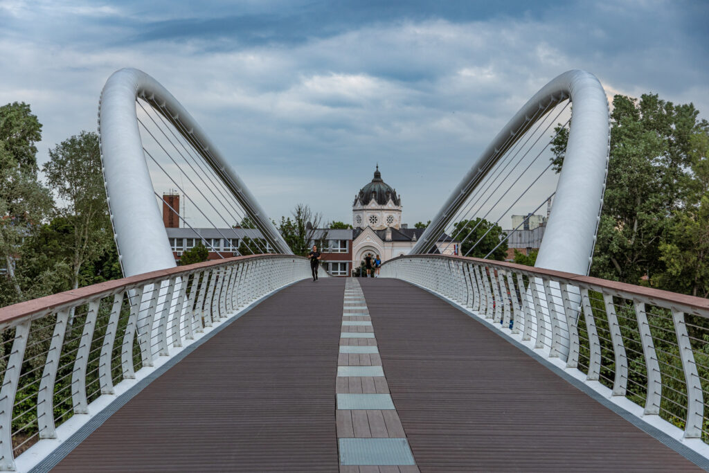 Rad- und Fuß-Brücke über die Theiß - sowas in Wien....