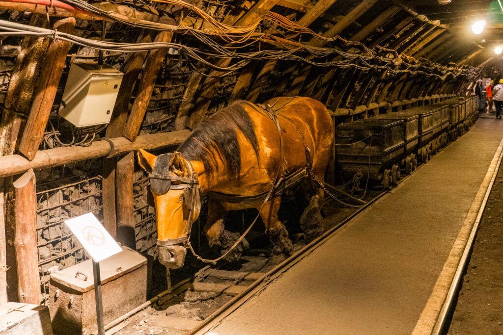 Auch Pferde wurden im Bergbau eingesetzt