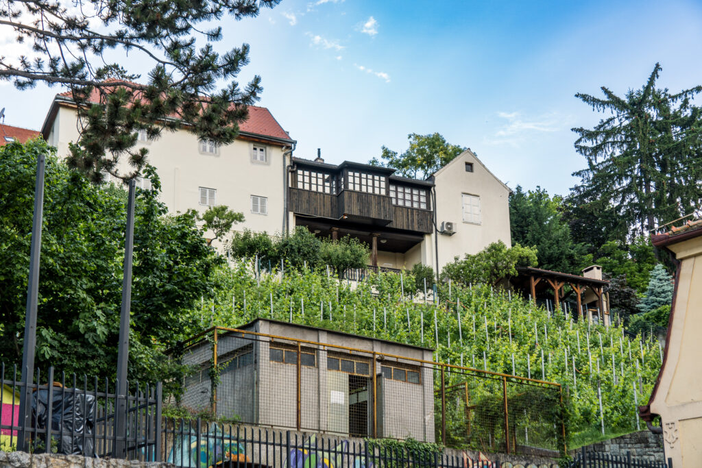 Stadt-Weingarten