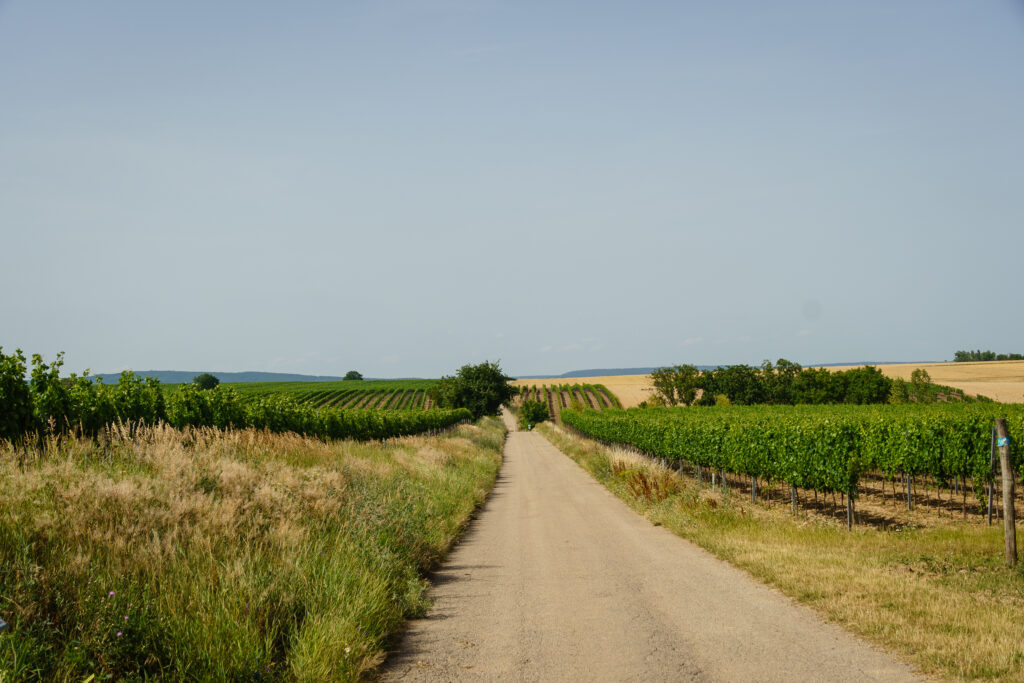 Durch die Weinviertel-Prärie