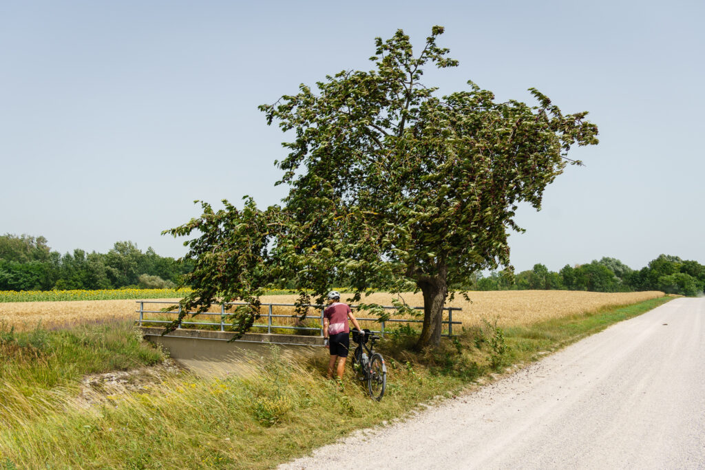 Kirschen-Pause