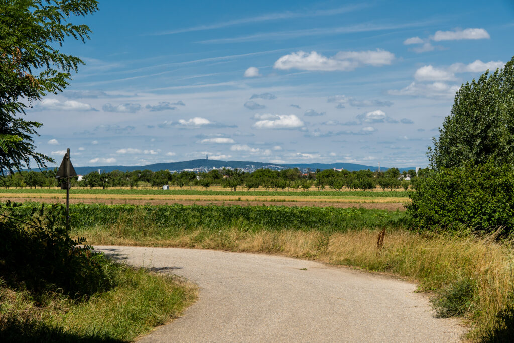 Die letzten Berge