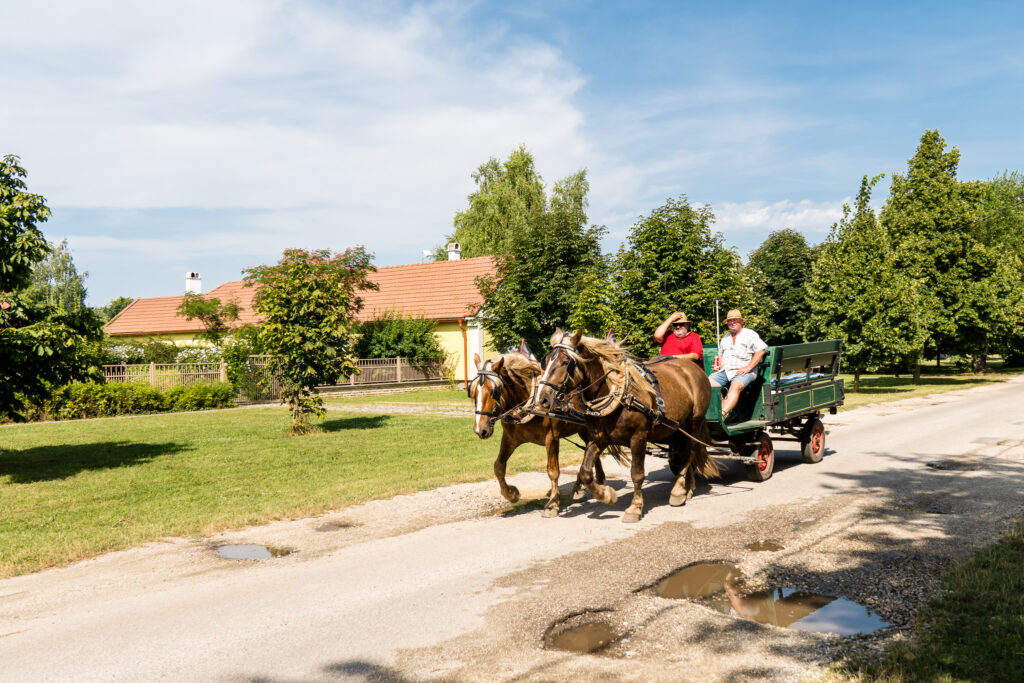 Der gar nicht so kleine Grenzverkehr