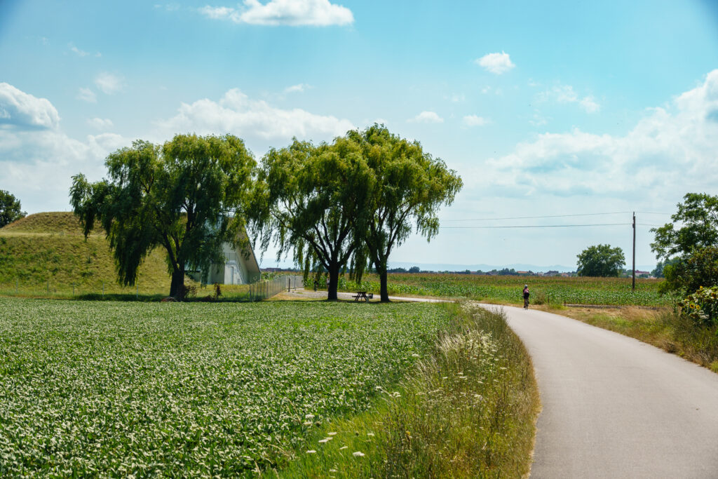 Auf dem Weg zur Oase - der Wasserwerke Burgenland