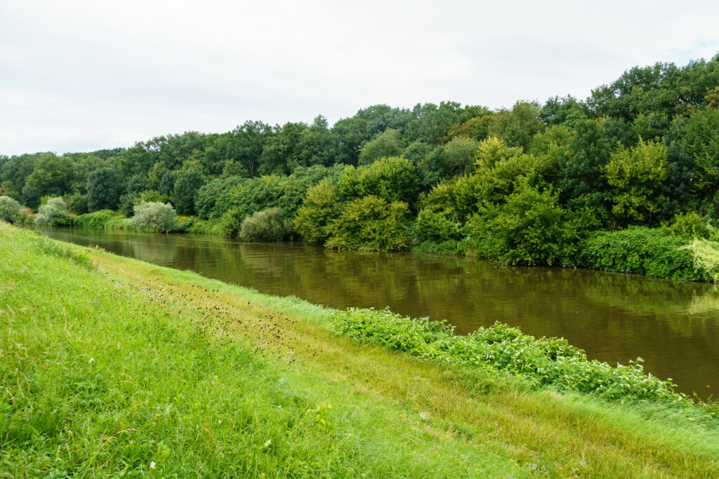 Unanständig grün