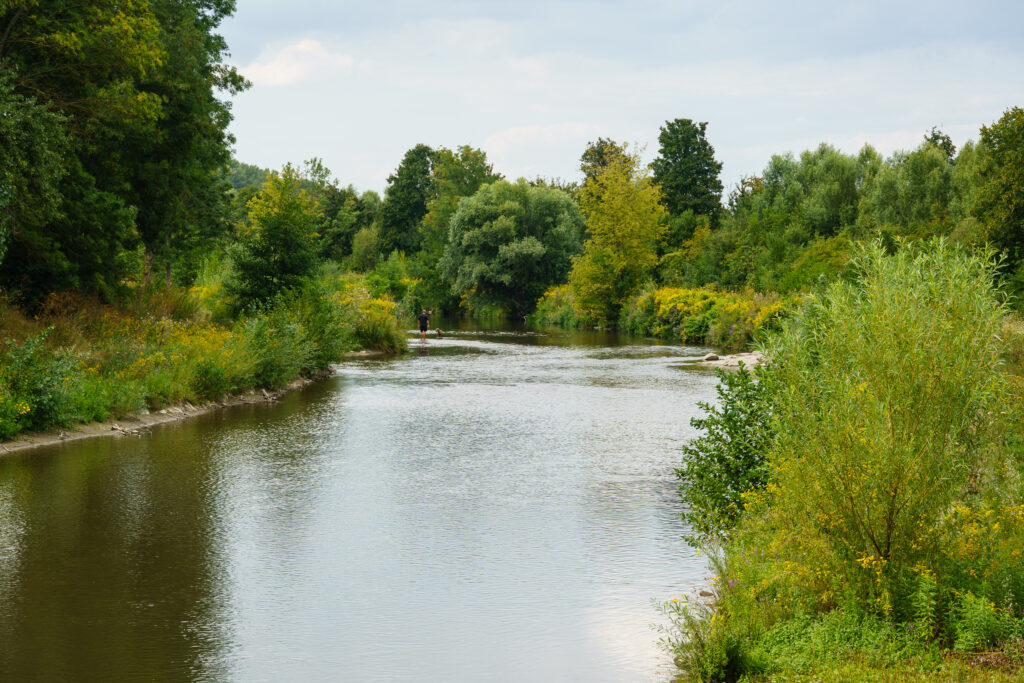 Grün in allen Farben