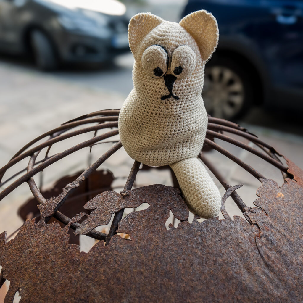 Die Katze überlegt in den kühlen Norden auszuwandern