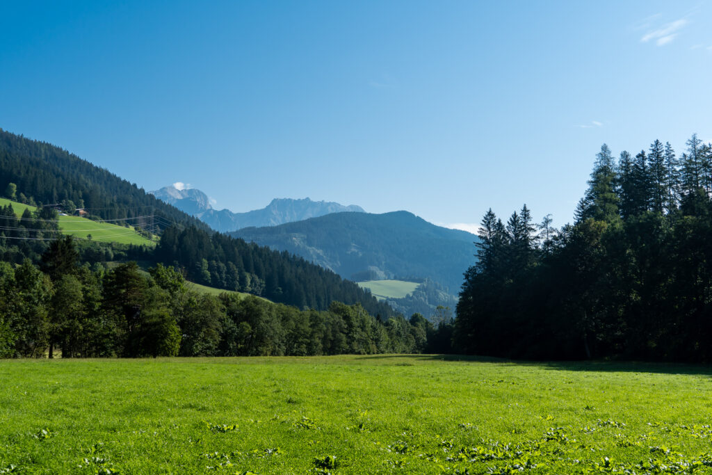 Im Frühtau zu Berge …