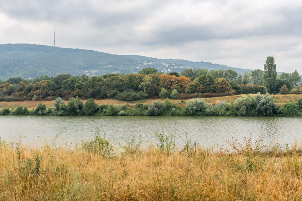 Das schaut schon fast nach Indian Summer aus (im August)