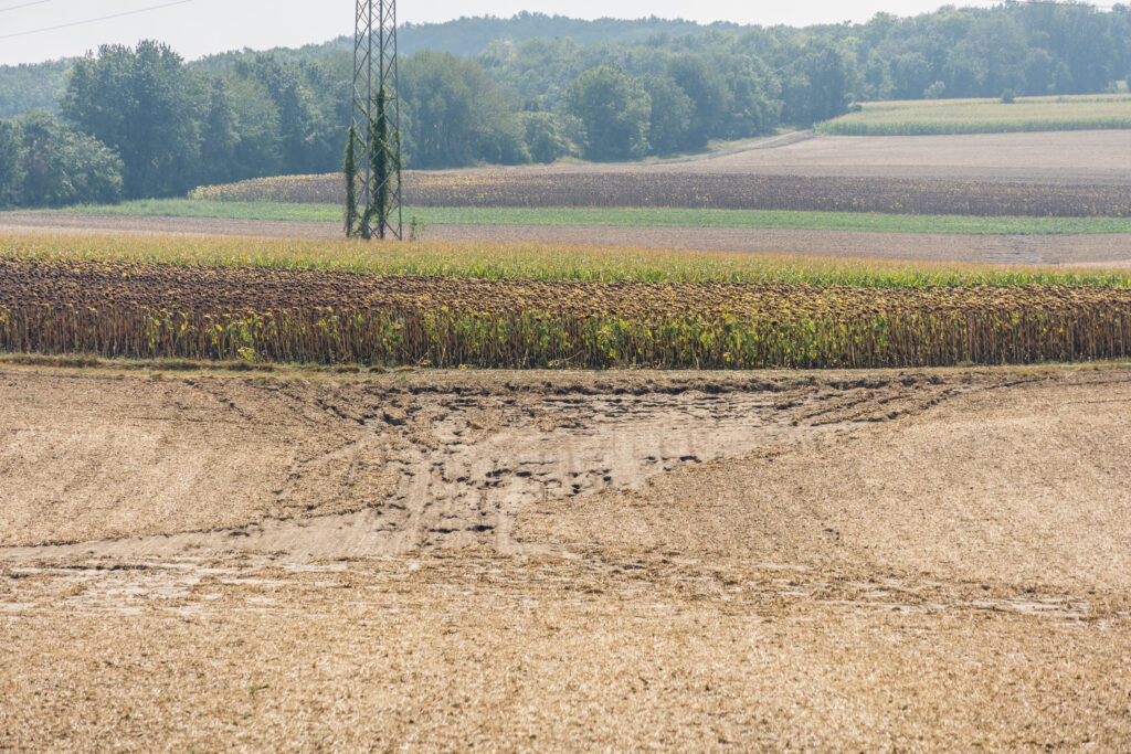 Spuren von Starkregen