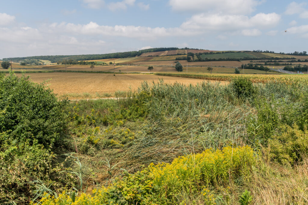 Da sieht man, dass der Bach fast heraußen war