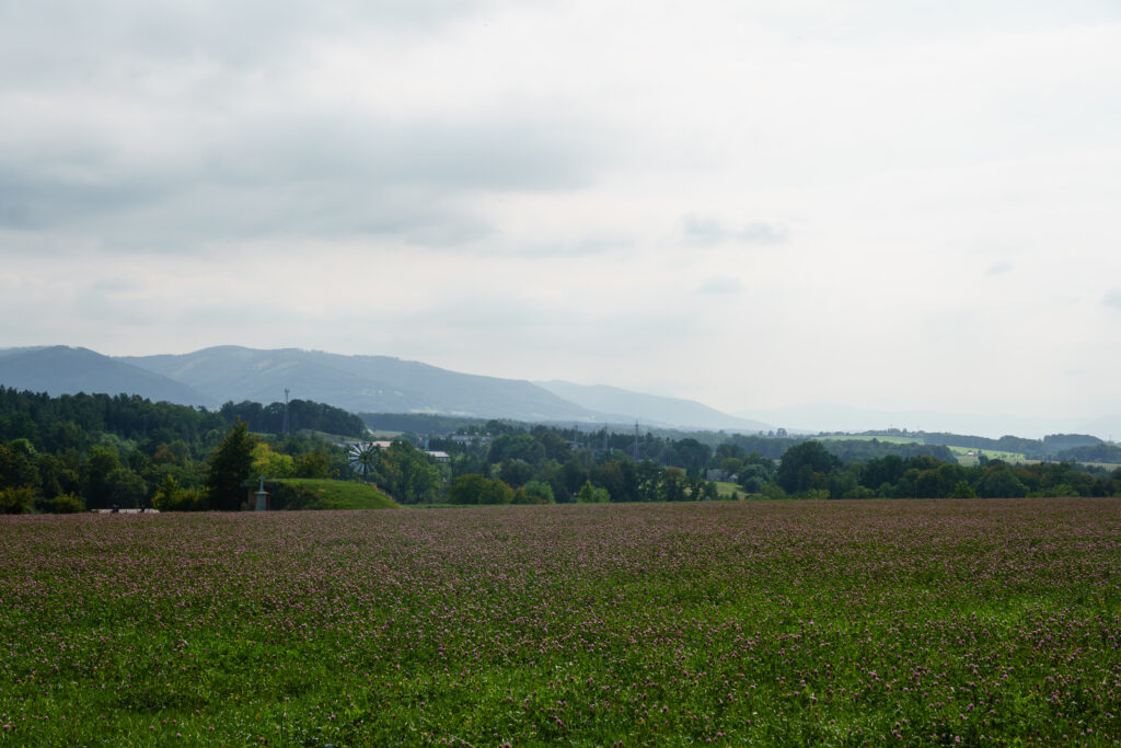 Landschaft heute hügelig