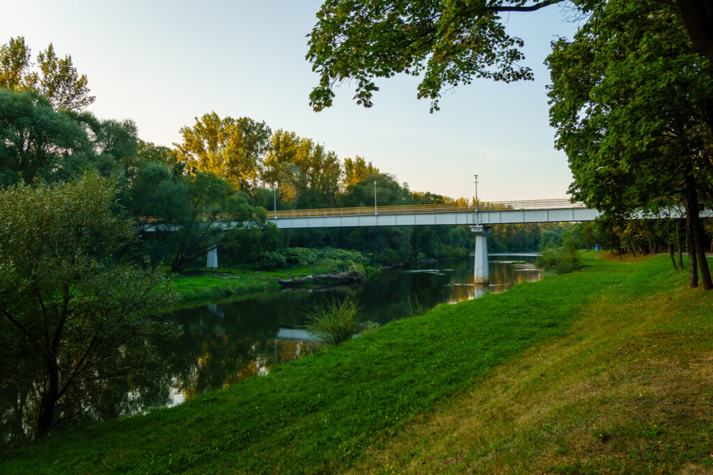 Viel grün am Fluss