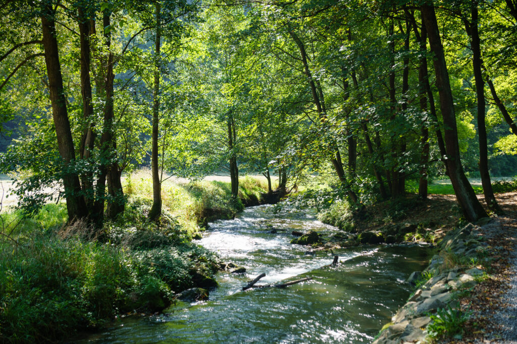 Es geht diesen kleinen Fluss hinauf