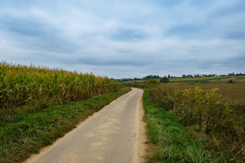 Weinviertel vibes