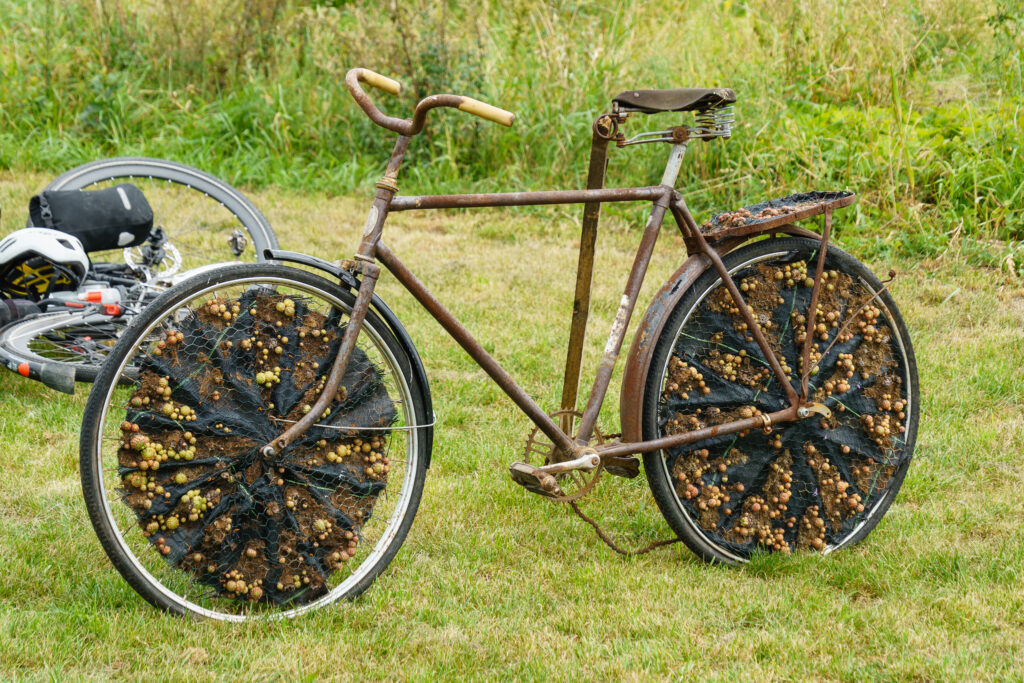 Fahrrad durchwachsen