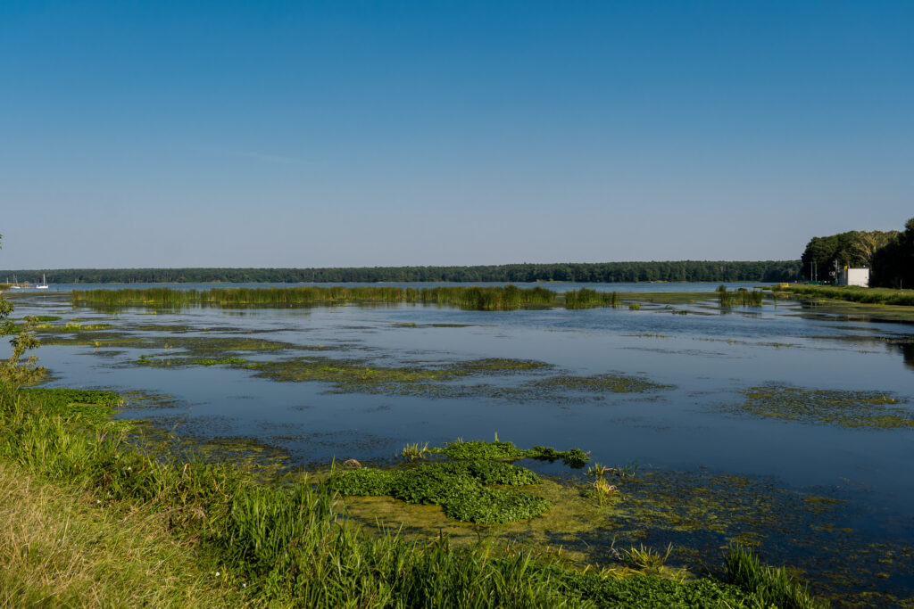 Der Stausee