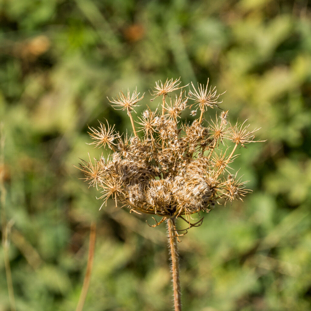 Die Farben des Herbstes