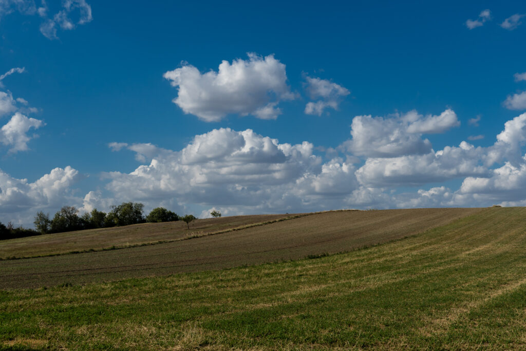 Der Windows XP Hintergrund ist auch schon geerntet