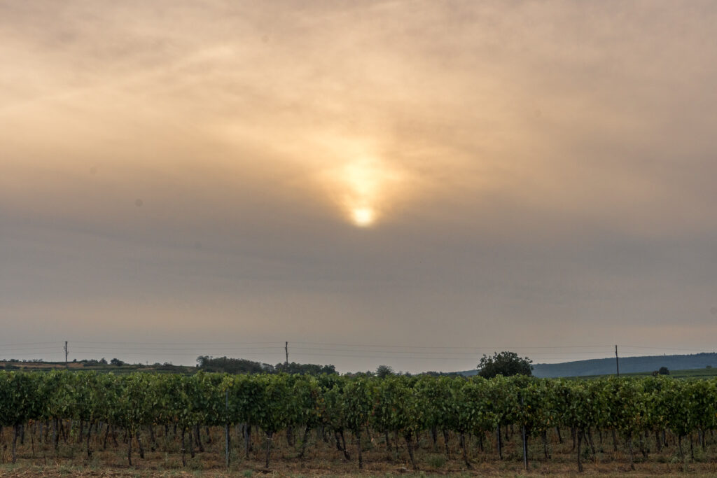 Da hinten endet der Sommer