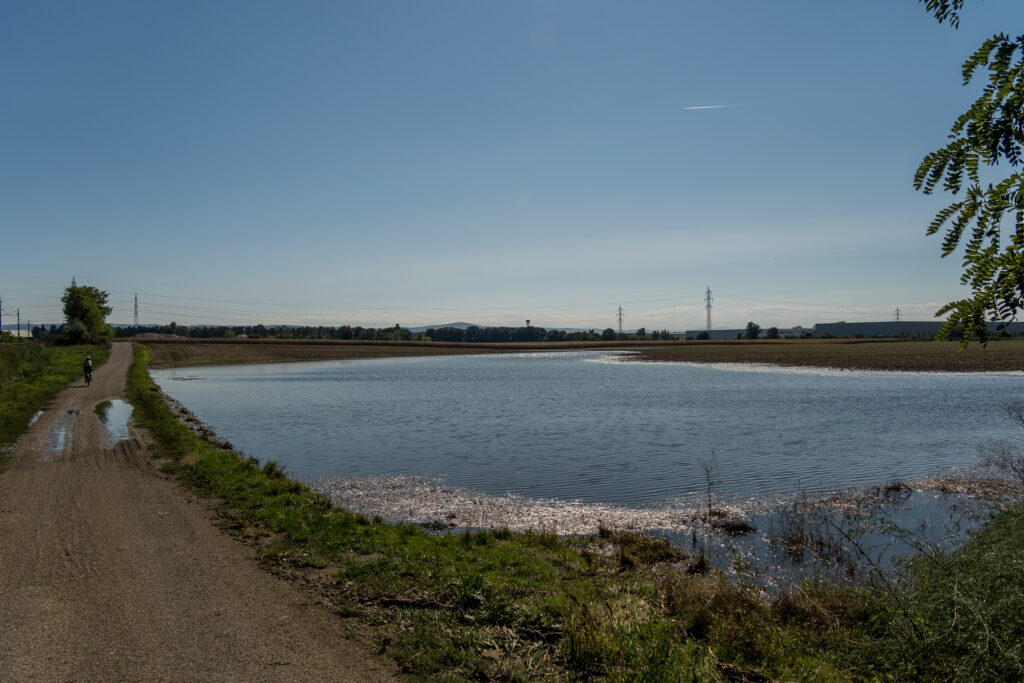 Niederösterreichische Seenplatte (neu seit einer Woche)