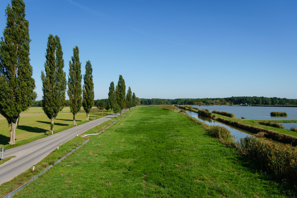 Grenzblick