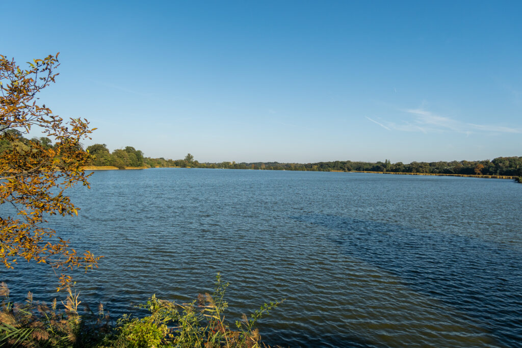 Keine Spur vom Hochwasser