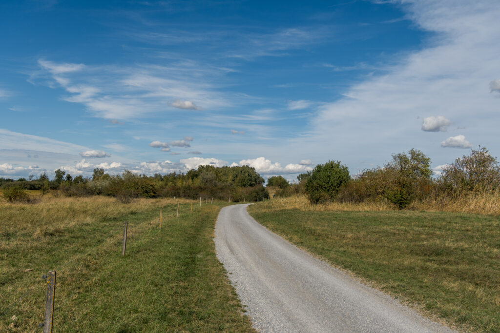 Dusty Roads