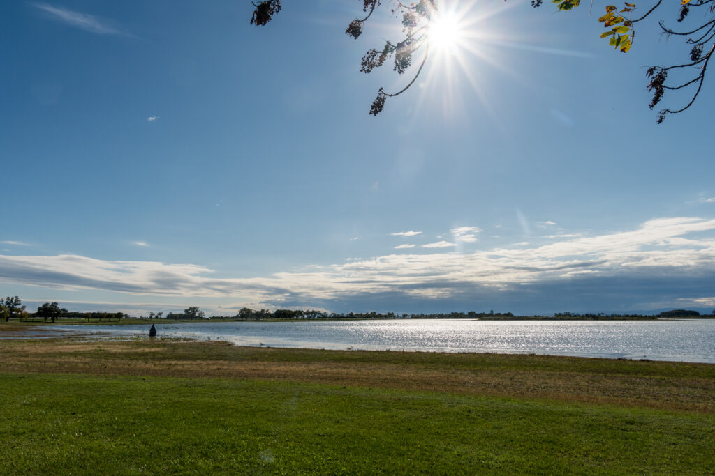 Der Zicksee ist wieder da!