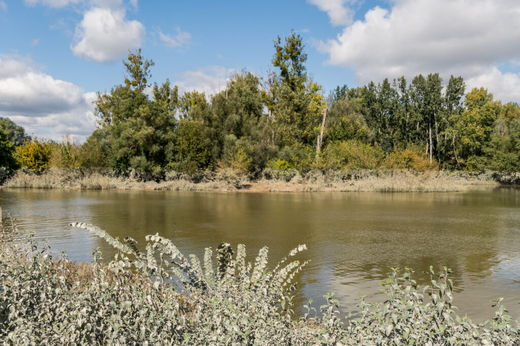 Lobau war voll