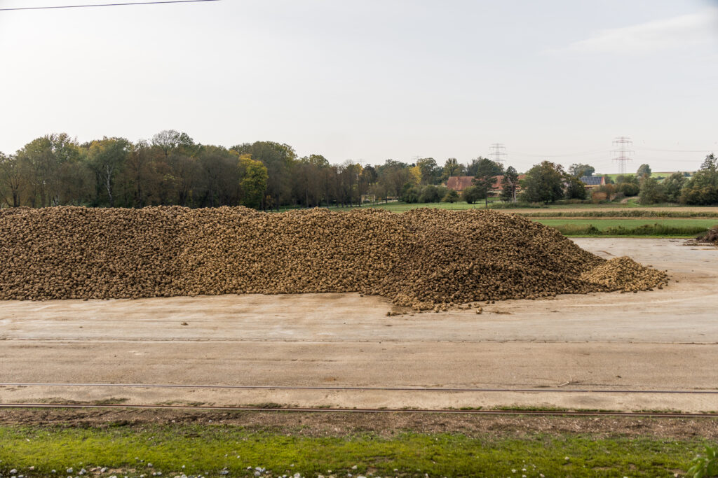 Der heilige Berg des Weinviertels: Mount Rübe