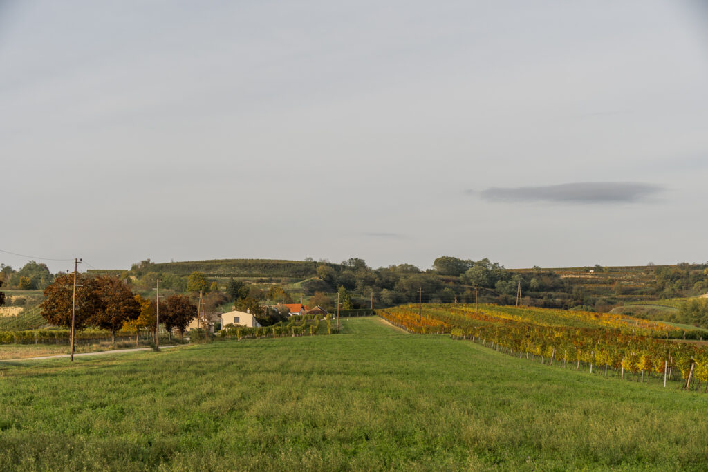 Retzer-Land im Herbst