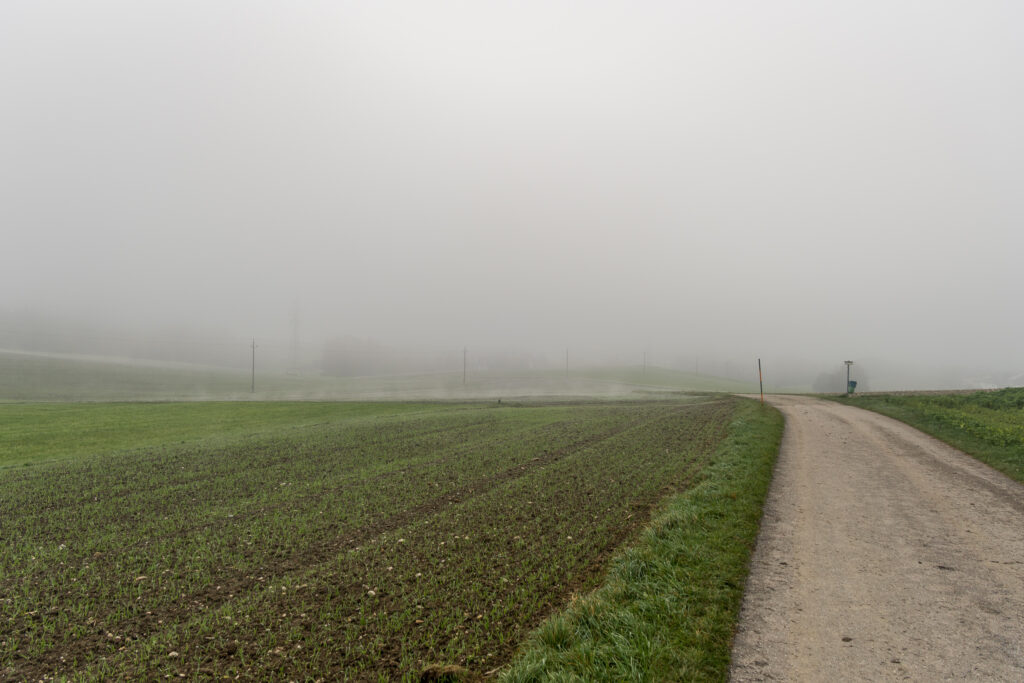 Und jetzt in den Nebel