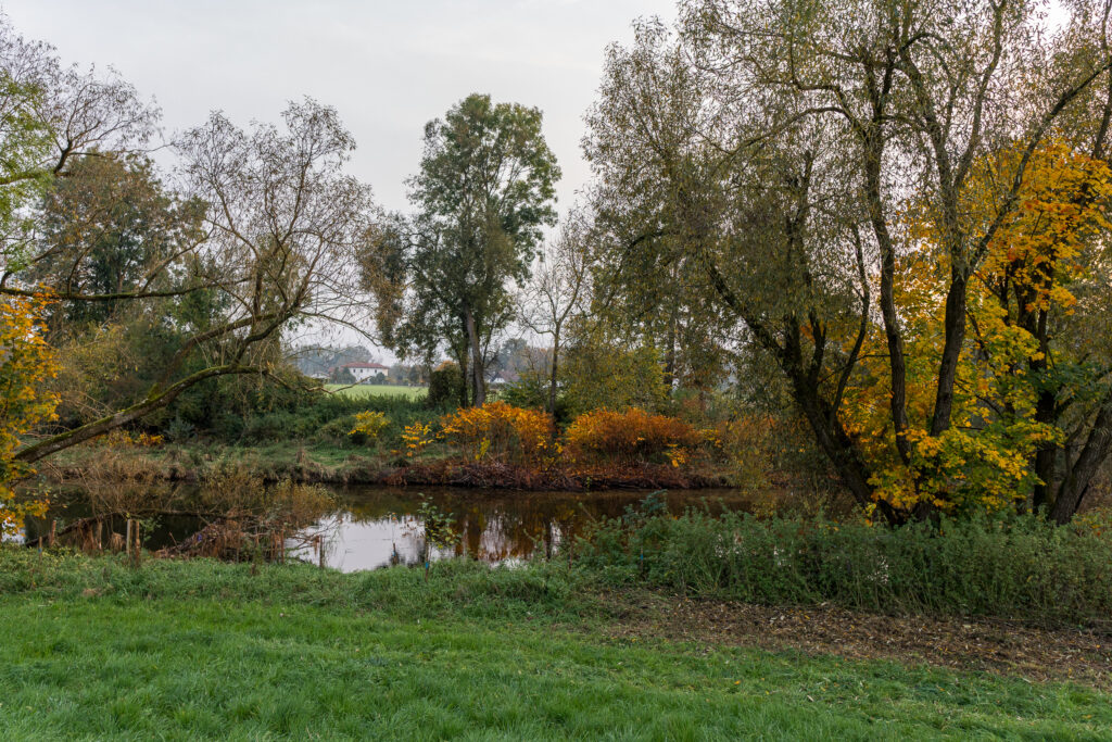 Herbst in vielen Farben