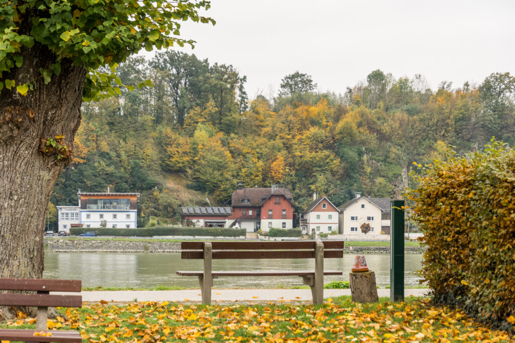 Viele Bänke frei