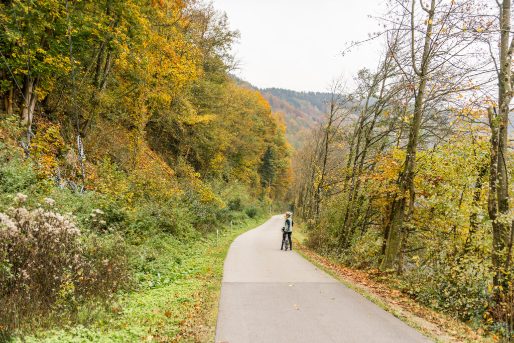 den Radweg haben wir für uns alleine