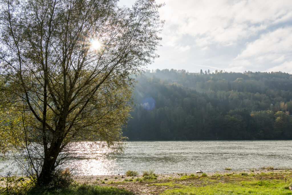 Sonne! fast schon wieder weg