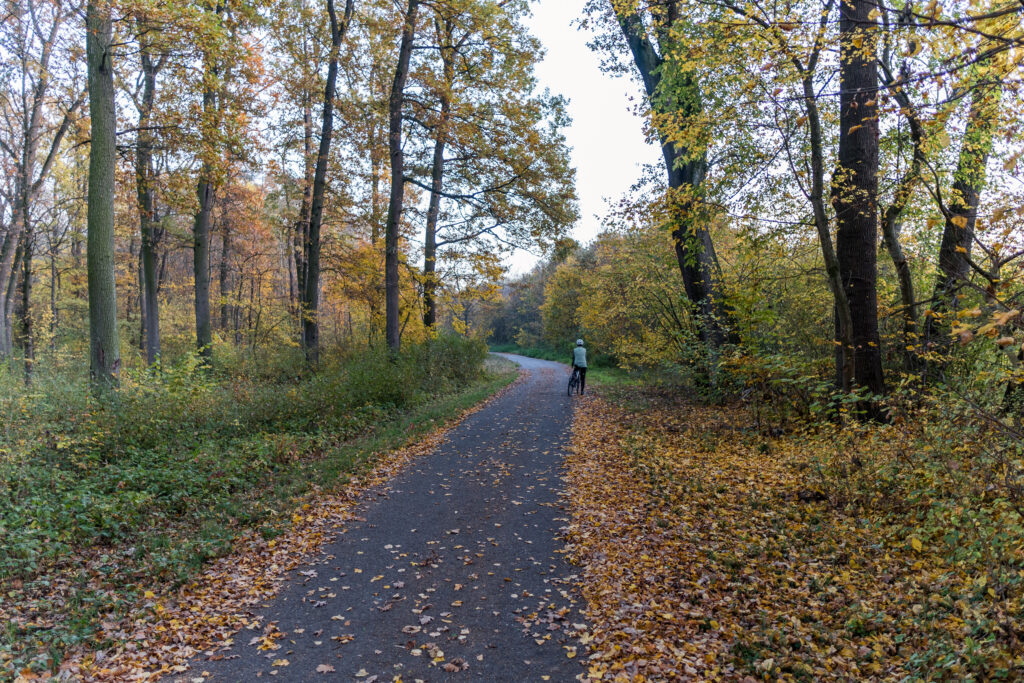 Durch das Herbstlaub