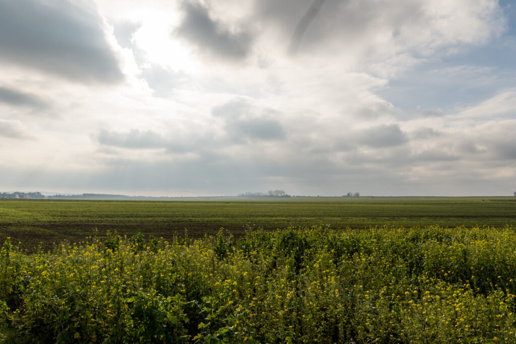 Sonne? Nebel? Was wird das heute?