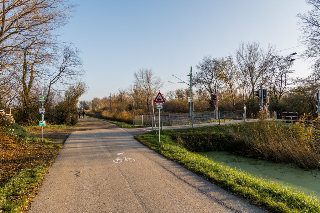 Und dann auf einmal: Strahlender Sonnenschein