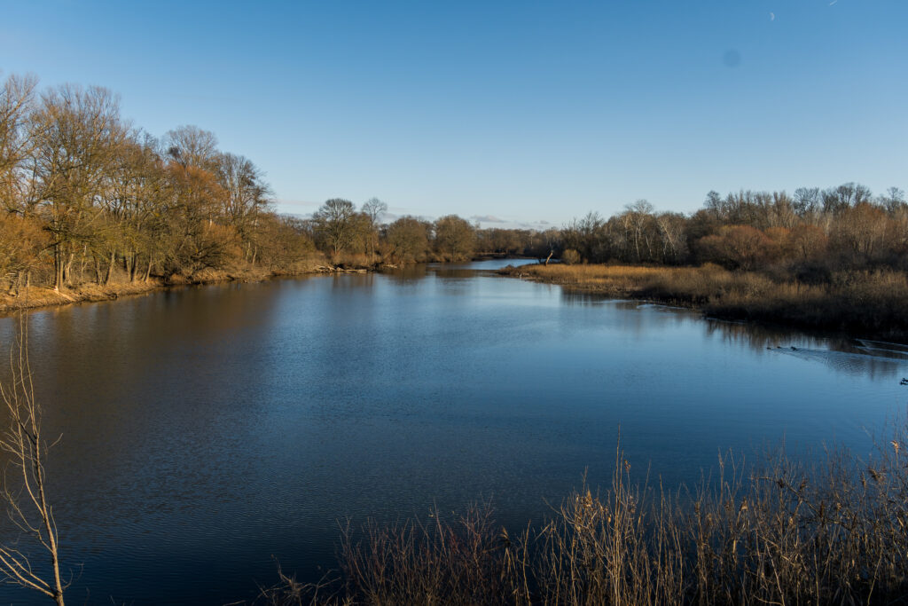 Am schönen blauen Altarm