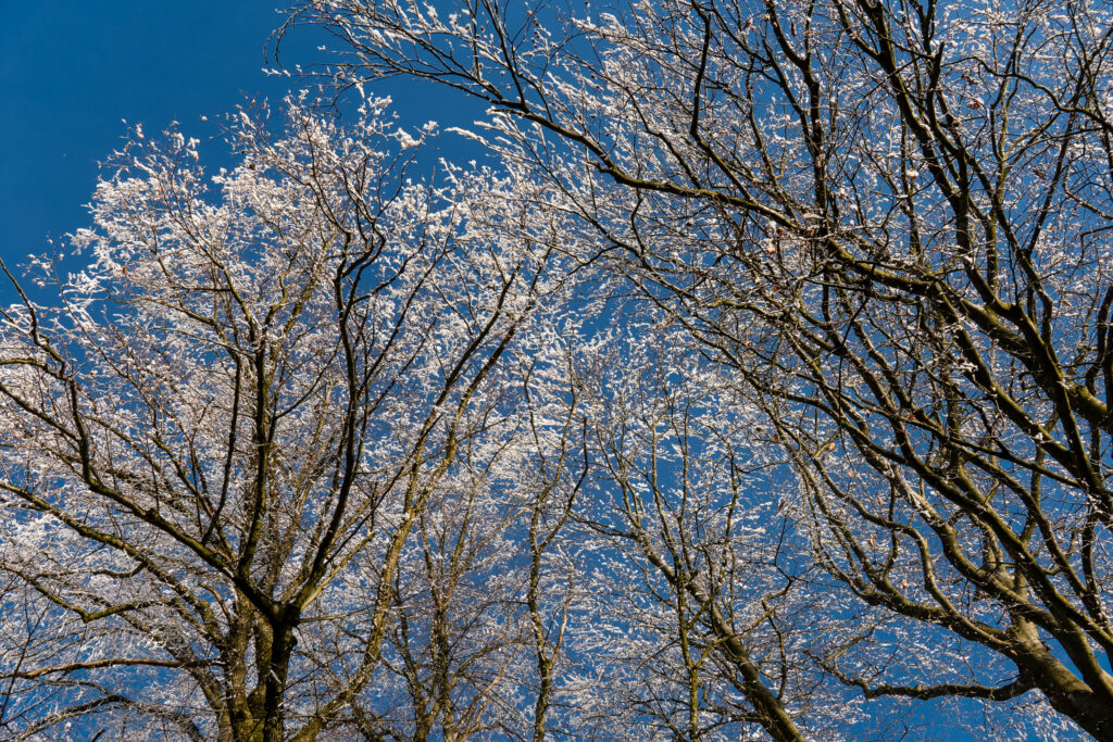 Weiss-Blaue Geschichten