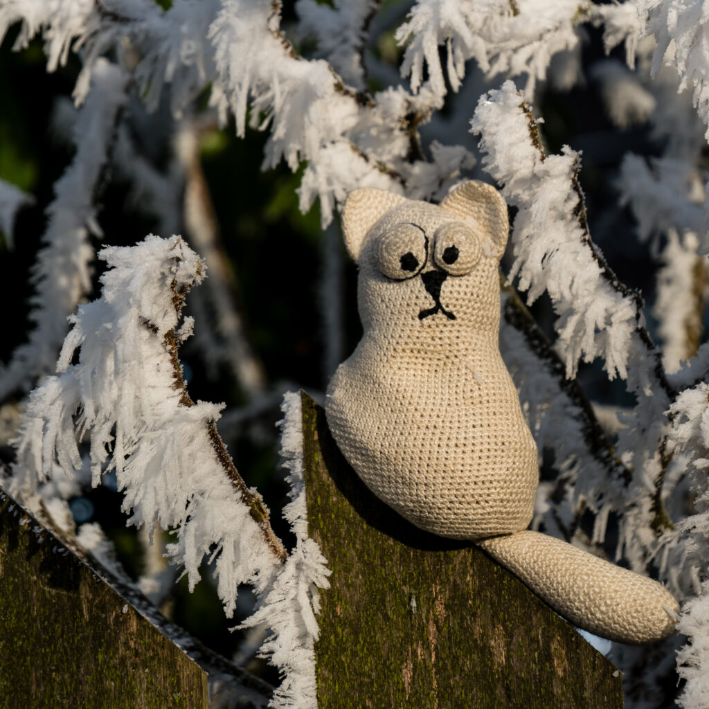 Winter-Wonderland ohne Schnee