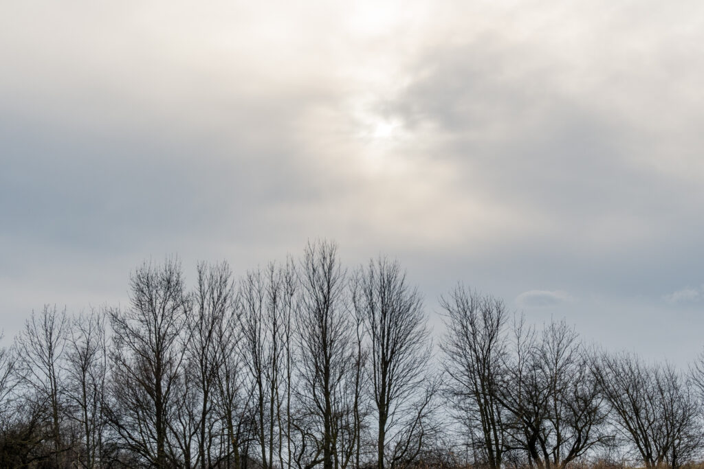 Was von der Sonne übrig blieb