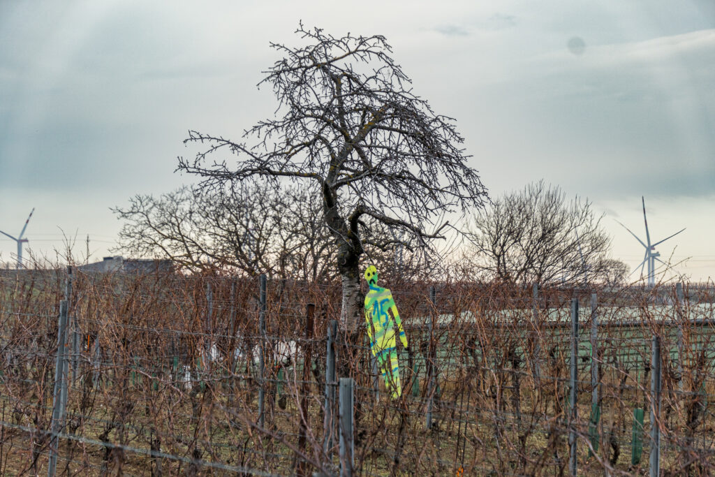 Die hässlichste Vogelscheuche des Burgenlandes verscheucht auch die Radfahrer*innen